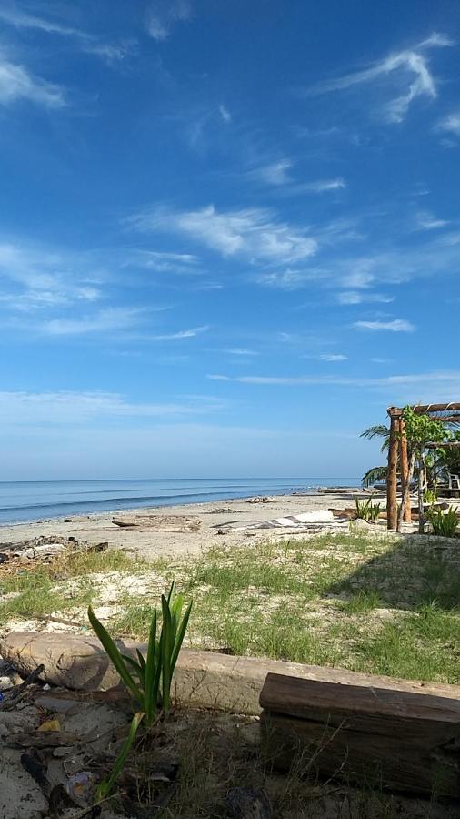 Urantia Beach Hostel & Camping San Onofre المظهر الخارجي الصورة